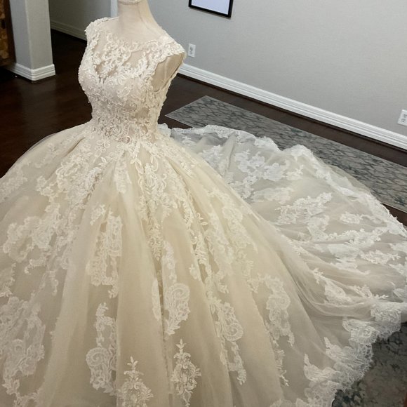 Demetrios Wedding Dress - Picture 14 of 16